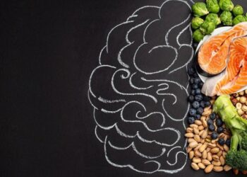 Bữa trưa của người có trí nhớ tốt, ít nguy cơ mắc bệnh Alzheimer có 1 sự khác biệt: Chuyên gia khẳng định 1 điều khiến nhiều người bừng tỉnh