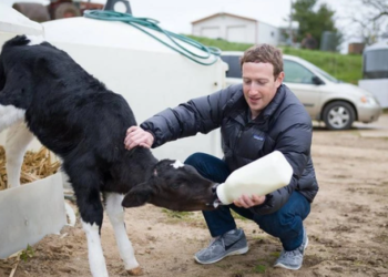 Mark Zuckerberg ở tuổi 40: Chuyển sang phong cách hip-hop, thích chăn bò và nấu bia