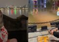‘Dựa hơi’ cái chết của Mèo Béo, TikToker Việt thả đồ ăn xuống Hồ Tây gây phẫn nộ