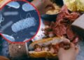 Vi khuẩn Salmonella được tìm thấy trong bánh mì khiến hơn 500 người ngộ độc ở Đồng Nai nguy hiểm thế nào?