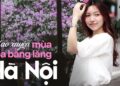 Loài hoa “tuyệt phẩm” mùa hè đã nhuộm tím cả Hà Nội, giới trẻ thi nhau check-in rồi sao bạn còn chưa đi?