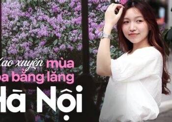 Loài hoa “tuyệt phẩm” mùa hè đã nhuộm tím cả Hà Nội, giới trẻ thi nhau check-in rồi sao bạn còn chưa đi?