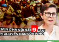 Trưởng đại diện WHO ở Việt Nam: Có tháng, người Hà Nội chỉ được hít thở không khí chất lượng trung bình đúng 1 ngày