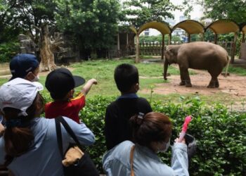 Sở thú lâu đời nhất Sài Gòn lãi kỷ lục quý đầu năm