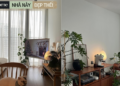 Căn nhà hút nghìn like trên Threads: Chủ nhân ở thuê vẫn decor siêu xịn, ngắm thôi đã thấy được “chữa lành”