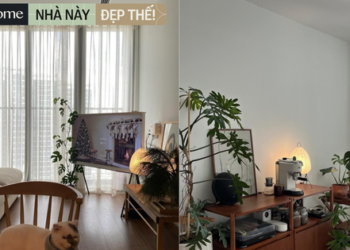 Căn nhà hút nghìn like trên Threads: Chủ nhân ở thuê vẫn decor siêu xịn, ngắm thôi đã thấy được “chữa lành”