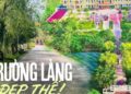 “Đất học Nam Định” có 1 ngôi trường khiến mọi trái tim phải rung rinh: Sao mà đẹp quá đỗi! Từ cổng vào xanh ngát bóng cây