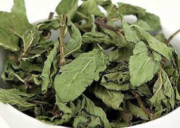 Việt Nam có 1 loại lá thơm mát, pha với nước thành “thuốc” hạ đường huyết tự nhiên, giàu vitamin A lại rất ít calo, cực tốt cho tiêu hóa