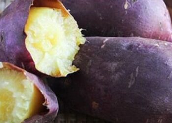 Khoai lang trị bệnh gì?