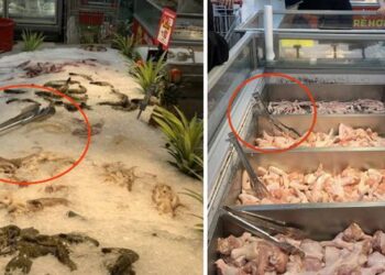 Dùng 1 cây gắp đồ cho cả khu vực hàng tươi sống: Chuyên gia nói gì về khả năng lây nhiễm chéo?