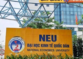 1 ngành học mới toanh ở NEU “khát” hơn 18.000 nhân lực trong tương lai, ra trường nhận mức lương 110 triệu đồng/tháng trong tầm tay