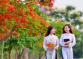 Màu hoa của tiếng lòng thổn thức
