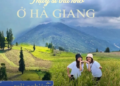 Giá vé chỉ 30.000 đồng/người, 1 thảo nguyên được ví như “Thụy Sĩ thu nhỏ” ở miền Bắc thu hút giới trẻ ghé thăm: Khung cảnh tựa trời Âu, cách Hà Nội chỉ 400km