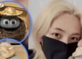 Xu hướng nuôi ‘đá cưng’ kỳ lạ của thanh niên Hàn Quốc