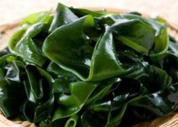 Sau 50 tuổi, nam giới nên bổ sung 4 loại rau xanh đậm để tăng cường sinh lực và sống trường thọ