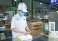 An Phát Holdings báo lãi sau thuế kỷ lục quý I, tạo đà bứt phá lợi nhuận năm 2024