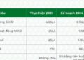 Bamboo Capital: Cần nguồn vốn 60.000 tỷ đồng trong 3 năm tới để làm các dự án BĐS và năng lượng