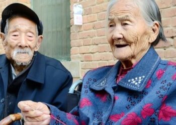 Cặp vợ chồng thọ 100 tuổi chăm ăn 1 loại vỏ vứt đầy ngoài chợ Việt: Vừa hạ đường huyết, vừa cứu tinh cho người giảm cân