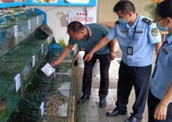 Mua 6kg tôm chỗ khác về ăn, chủ hàng hải sản lập tức bị phạt 38 triệu đồng: Khiếu nại luôn đơn vị xử phạt mình, toà án đưa ra phán quyết bất ngờ