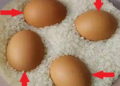 Vì sao nhiều người nhét trứng trong thùng gạo? Hóa ra lợi ích bất ngờ, ai nghe xong cũng muốn thử