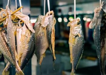 Những loại cá này nằm trong “danh sách thực phẩm gây ung thư”, đi chợ không nên mua dù có rẻ đến đâu