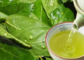 Việt Nam có 2 loại lá phơi khô là “dược liệu vàng” giúp hạ đường huyết tự nhiên, còn dưỡng thận, mát gan hiệu quả