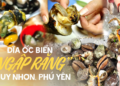 Quy Nhơn – Phú Yên đi một lần nhớ mãi cũng vì thứ đặc sản “ngập răng” này, trong đó có loại vị ngon miễn bàn!