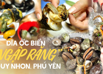 Quy Nhơn – Phú Yên đi một lần nhớ mãi cũng vì thứ đặc sản “ngập răng” này, trong đó có loại vị ngon miễn bàn!