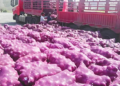 Nhận chở 20.000kg hành cho 1 người đàn ông, tài xế xe tải bất ngờ bị cảnh sát triệu tập: Tổn thất gấp 11 lần so với tiền công!