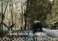 Vườn Quốc gia Tràm Chim – khu Ramsar thế giới của Việt Nam: Mộc mạc, hoang sơ nhưng ẩn chứa vô vàn vẻ đẹp kỳ vĩ