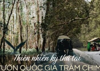 Vườn Quốc gia Tràm Chim – khu Ramsar thế giới của Việt Nam: Mộc mạc, hoang sơ nhưng ẩn chứa vô vàn vẻ đẹp kỳ vĩ