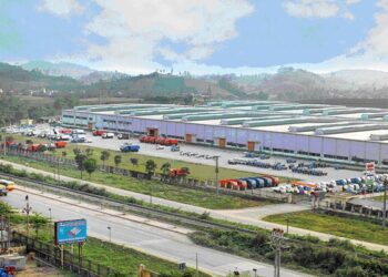 Tổng Giám đốc VEAM bị bắt