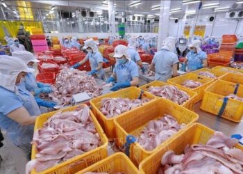 Navico xin ý kiến thưởng cổ phiếu 100%