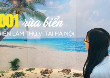 Lạc vào “xứ sở” rùa biển gốm giữa Hà Nội: Đằng sau khung cảnh biển cực “ảo” là ý nghĩa vô cùng đặc biệt mà ai cũng nên biết
