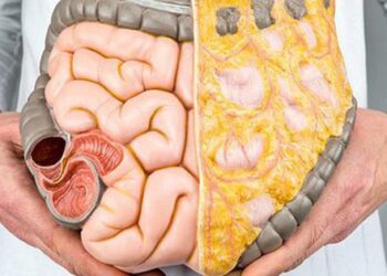 1 chỗ “dày” báo hiệu người tuổi thọ ngắn: ăn gì để giảm nguy cơ?