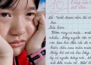 Học sinh tiểu học viết bài văn, chỉ 8 dòng mà khiến cô giáo bật khóc và lập tức chấm 10 điểm