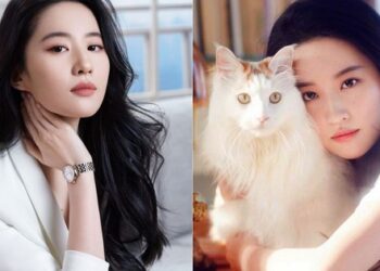 36 tuổi vẫn xinh như gái 18, Lưu Diệc Phi còn sống chẳng khác bà hoàng: Sở hữu tài sản 4.000 tỷ, ở biệt thự 16.700m2 nhưng chỉ có mèo bầu bạn