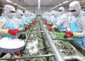 Minh Phú đặt mục tiêu lãi kỷ lục