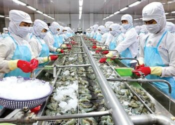 Minh Phú đặt mục tiêu lãi kỷ lục