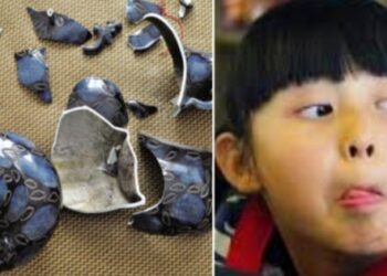Đi thăm quan bảo tàng, con vô tình làm vỡ cổ vật giá hơn 33 tỷ đồng, phụ huynh bất lực không biết giải quyết sao