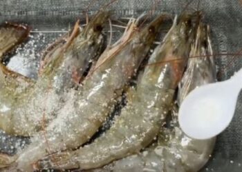Cất tôm trong tủ lạnh nhớ cho thêm thứ gia vị này: Nhà nào cũng có, để cả tháng tôm vẫn tươi ngon như mới