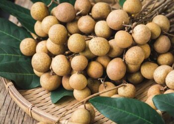 Ăn nhãn tốt cho sức khỏe nhưng nhóm người này chớ nên ăn nhiều kẻo “bệnh thêm bệnh”
