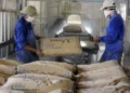 Tổng công ty Xi măng Việt Nam lỗ hơn nghìn tỷ đồng