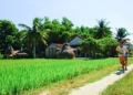 Quay quắt nhớ con đường quê