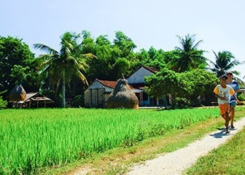 Quay quắt nhớ con đường quê
