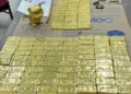 Thu thêm hơn 100 tỷ đồng trong vụ TikToker Mr Pips lừa đảo