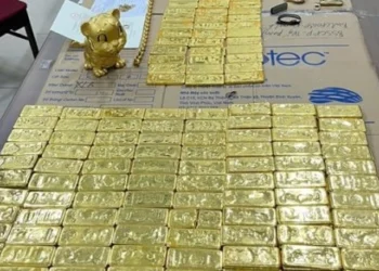 Thu thêm hơn 100 tỷ đồng trong vụ TikToker Mr Pips lừa đảo