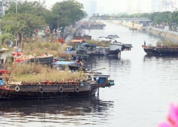 TPHCM: Chợ hoa xuân “Trên bến dưới thuyền” Tết Ất Tỵ có gì hấp dẫn?