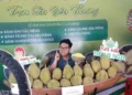 Bình quân mỗi tháng có khoảng 2,5 triệu phiên bán hàng livestream.
