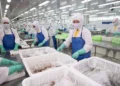 Doanh số Sao Ta đạt 95 triệu USD trong 6 tháng